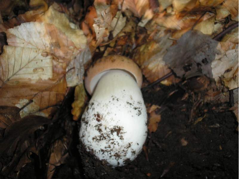 grazie allo sciopero....